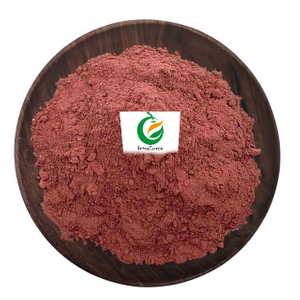 Extrait de graines de raisin biologique à 95% OPC Powder
