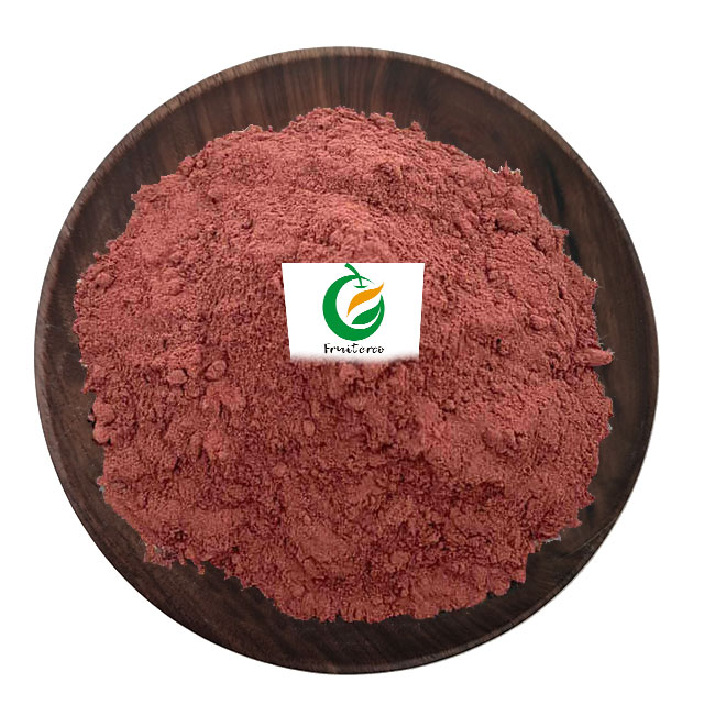 Extrait de graines de raisin biologique à 95% OPC Powder